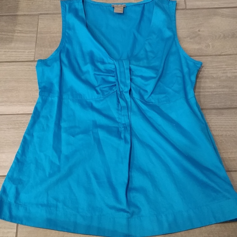 Ann Taylor top